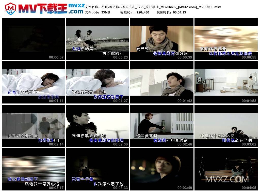 花哥-难道你非要这么花_国语_流行歌曲_MB206602